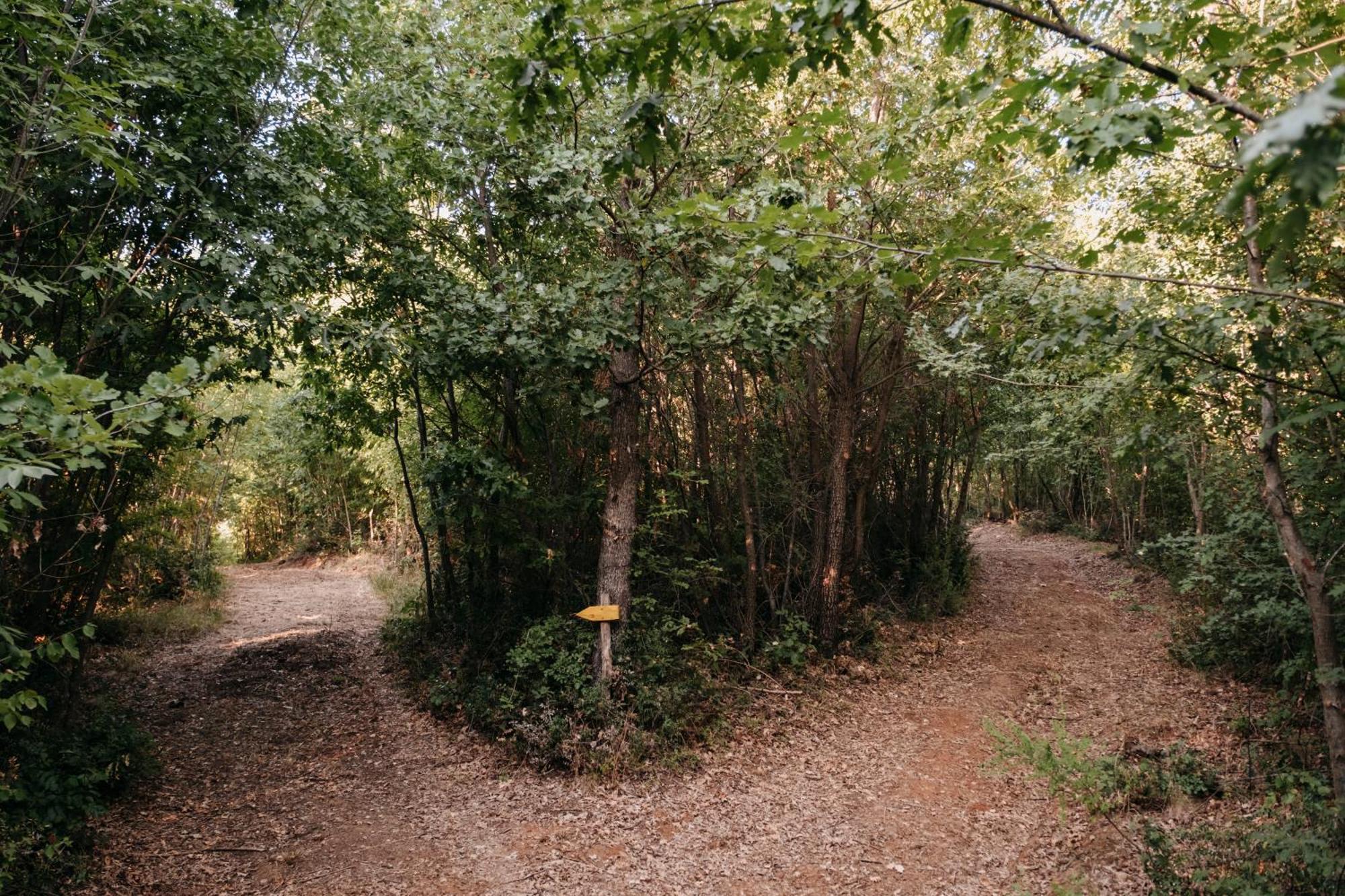 Poggio Al Vento Villa Manciano Bagian luar foto